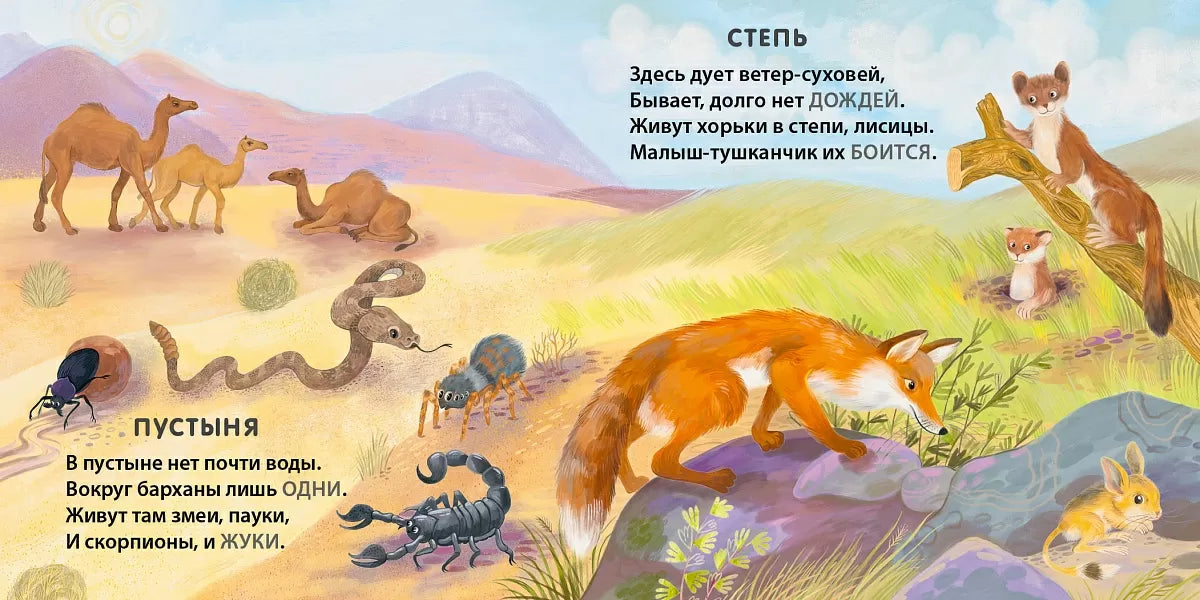 Картонная книга для детей на русском языке 1+: загадки-рифмовки «Кто где живёт»