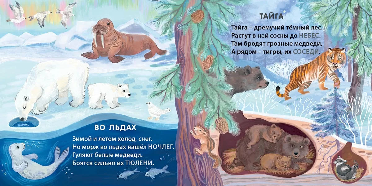 Картонная книга для детей на русском языке 1+: загадки-рифмовки «Кто где живёт»