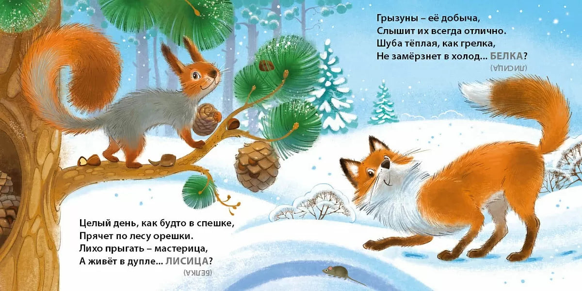 Board Book for Kids 1+: Wild Animals Trick Riddles (RU), Robins