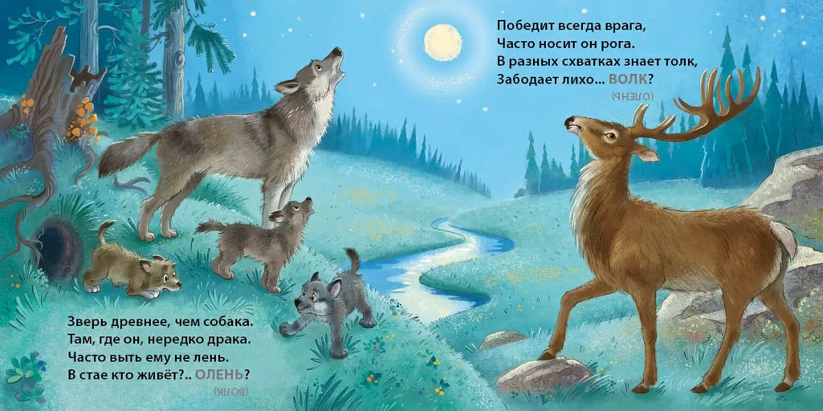 Board Book for Kids 1+: Wild Animals Trick Riddles (RU), Robins