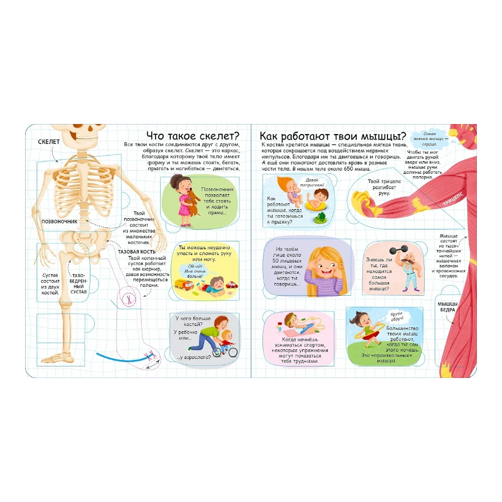 Encyclopedia for Kids 3+: Human Body Secrets Lift the Flap Book (RU), Robins