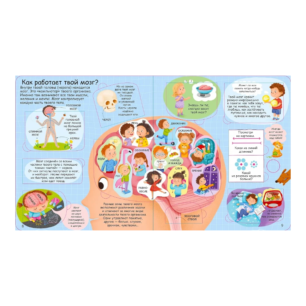 Encyclopedia for Kids 3+: Human Body Secrets Lift the Flap Book (RU), Robins