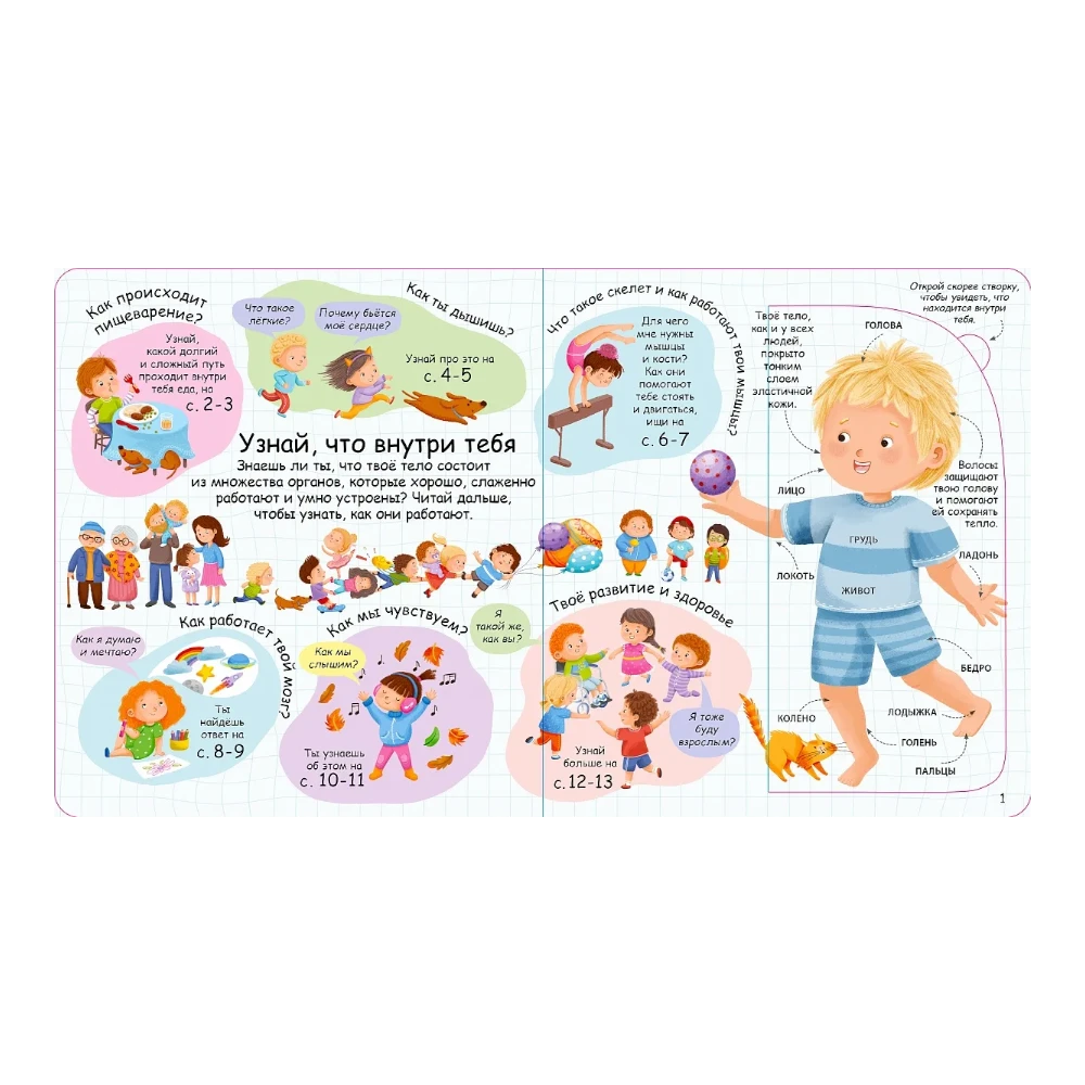Encyclopedia for Kids 3+: Human Body Secrets Lift the Flap Book (RU), Robins
