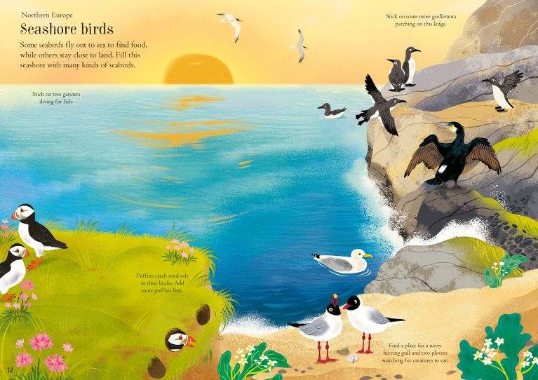 Little First Stickers Birds, Usborne