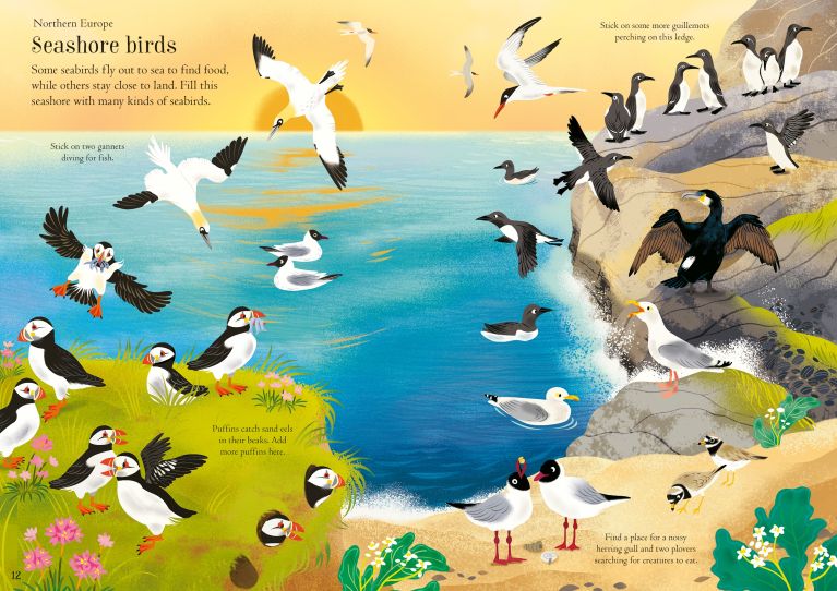 Little First Stickers Birds, Usborne