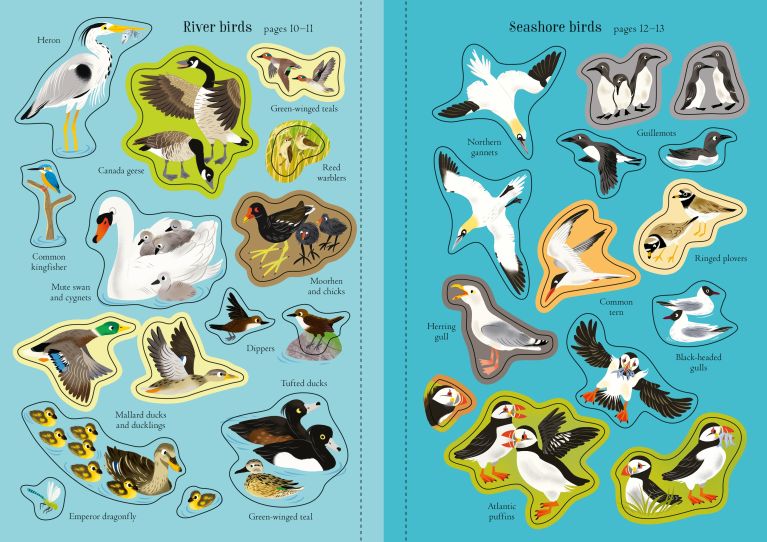 Little First Stickers Birds, Usborne