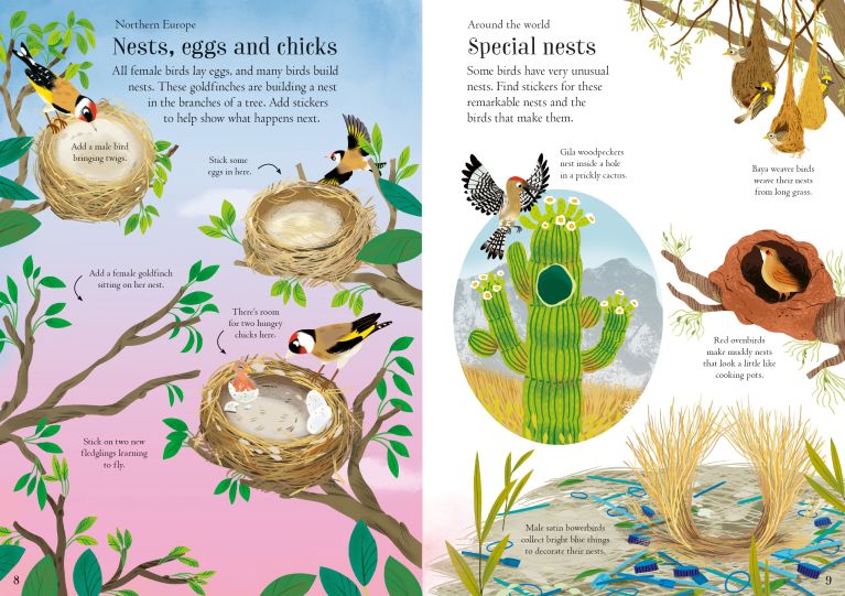 Little First Stickers Birds, Usborne