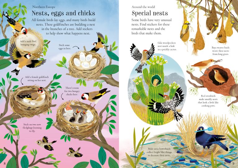 Little First Stickers Birds, Usborne