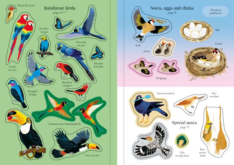 Little First Stickers Birds, Usborne
