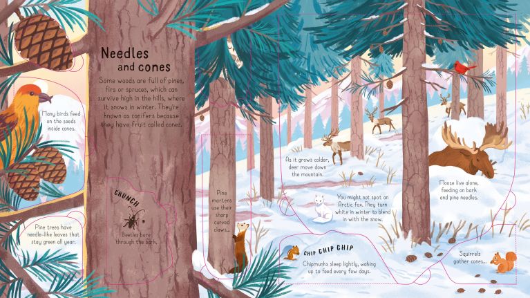 Look Inside: The Woods, Usborne
