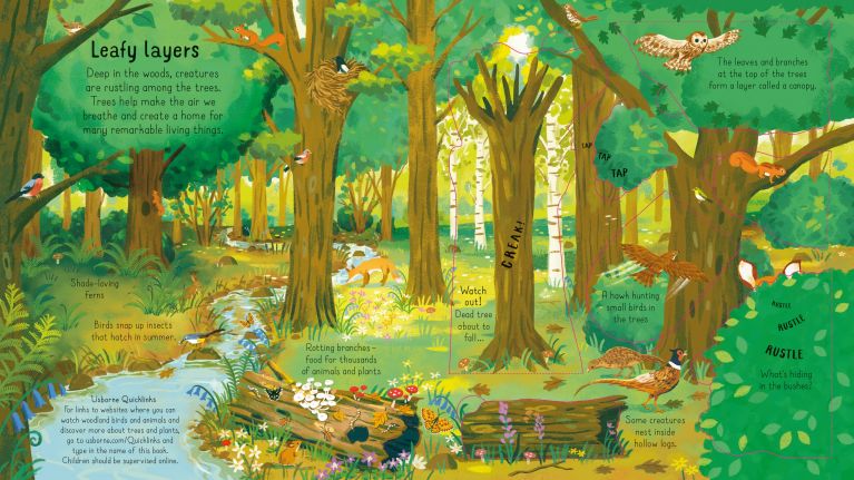Look Inside: The Woods, Usborne