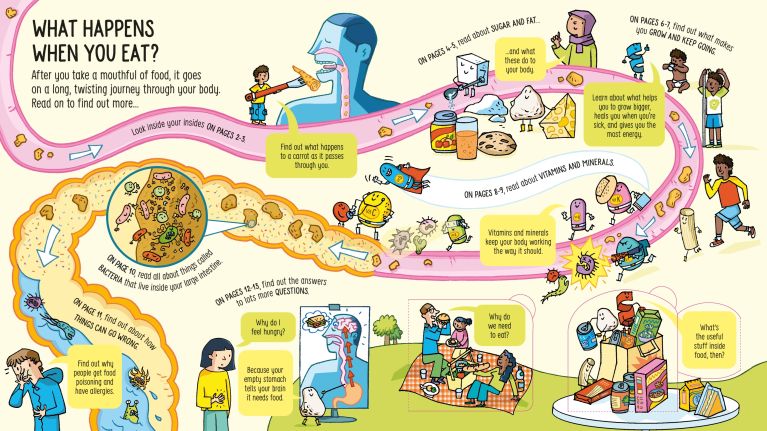 Look Inside: What Happens When You Eat, Usborne