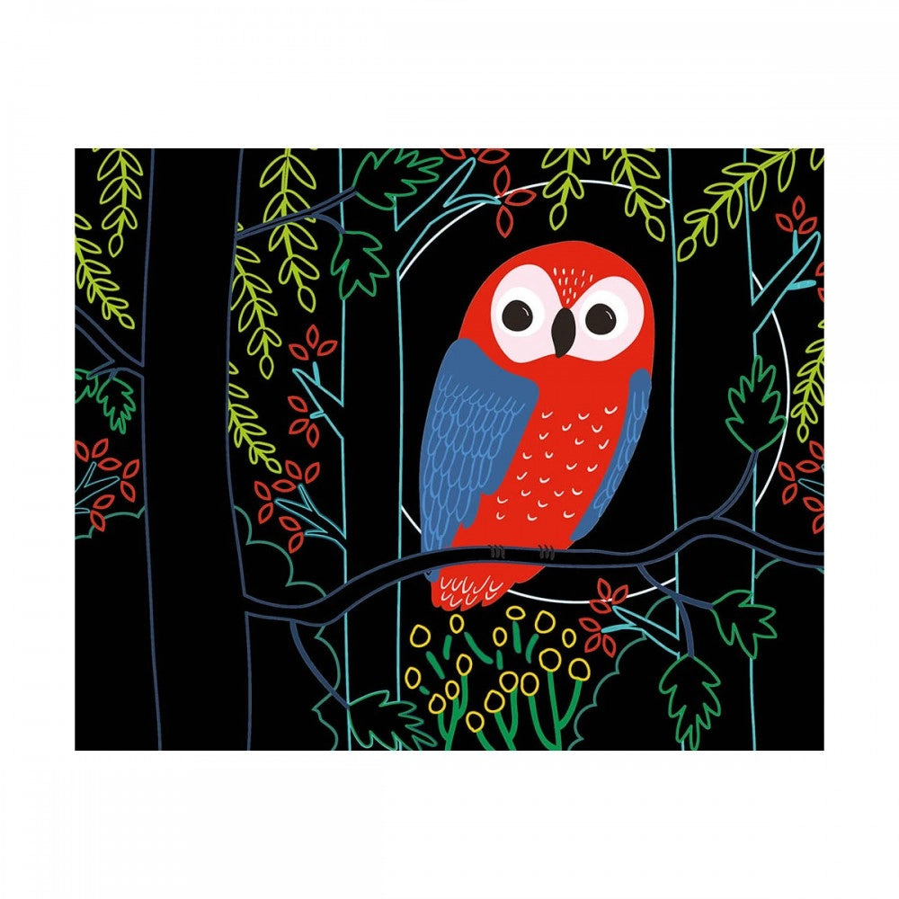 My scratch art cards: In the Forest, AUZOU