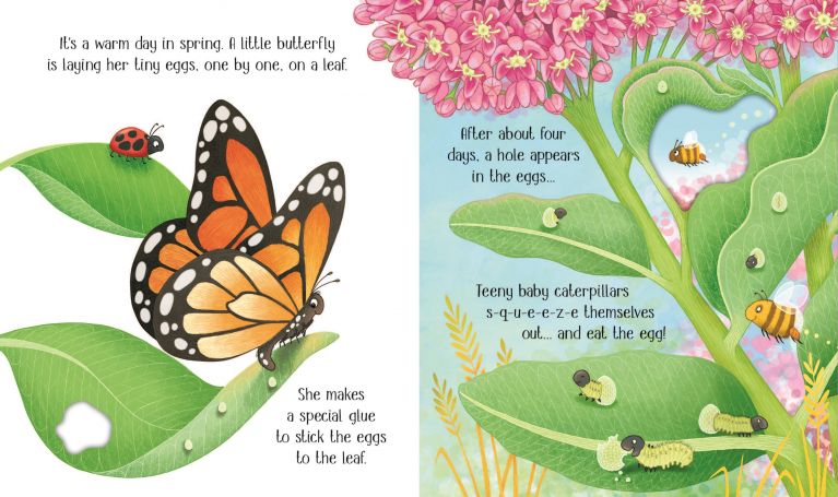 One Little Butterfly, Usborne