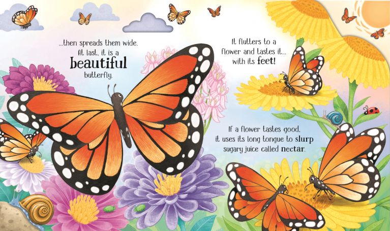 One Little Butterfly, Usborne