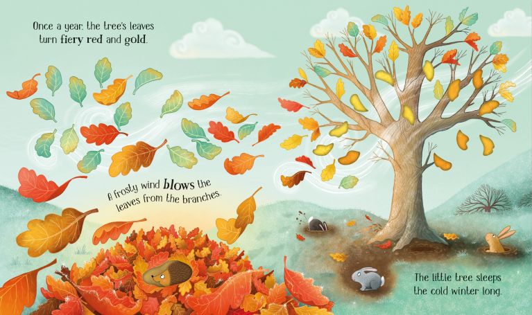 One Little Tree, Usborne