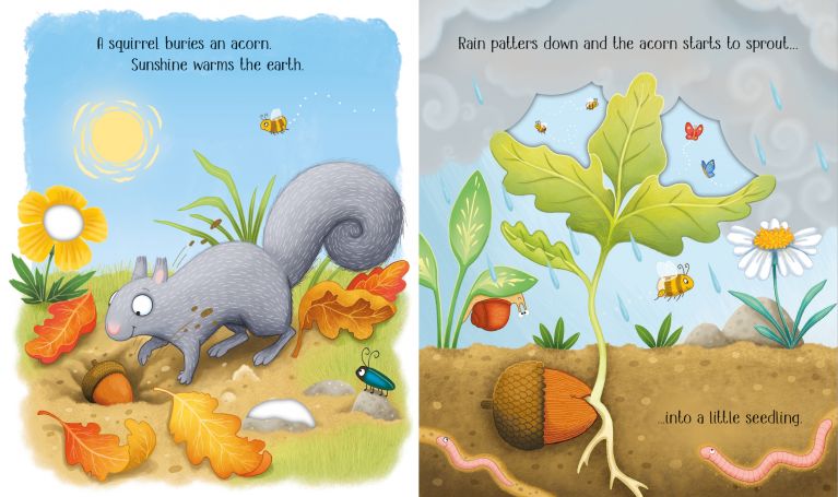 One Little Tree, Usborne