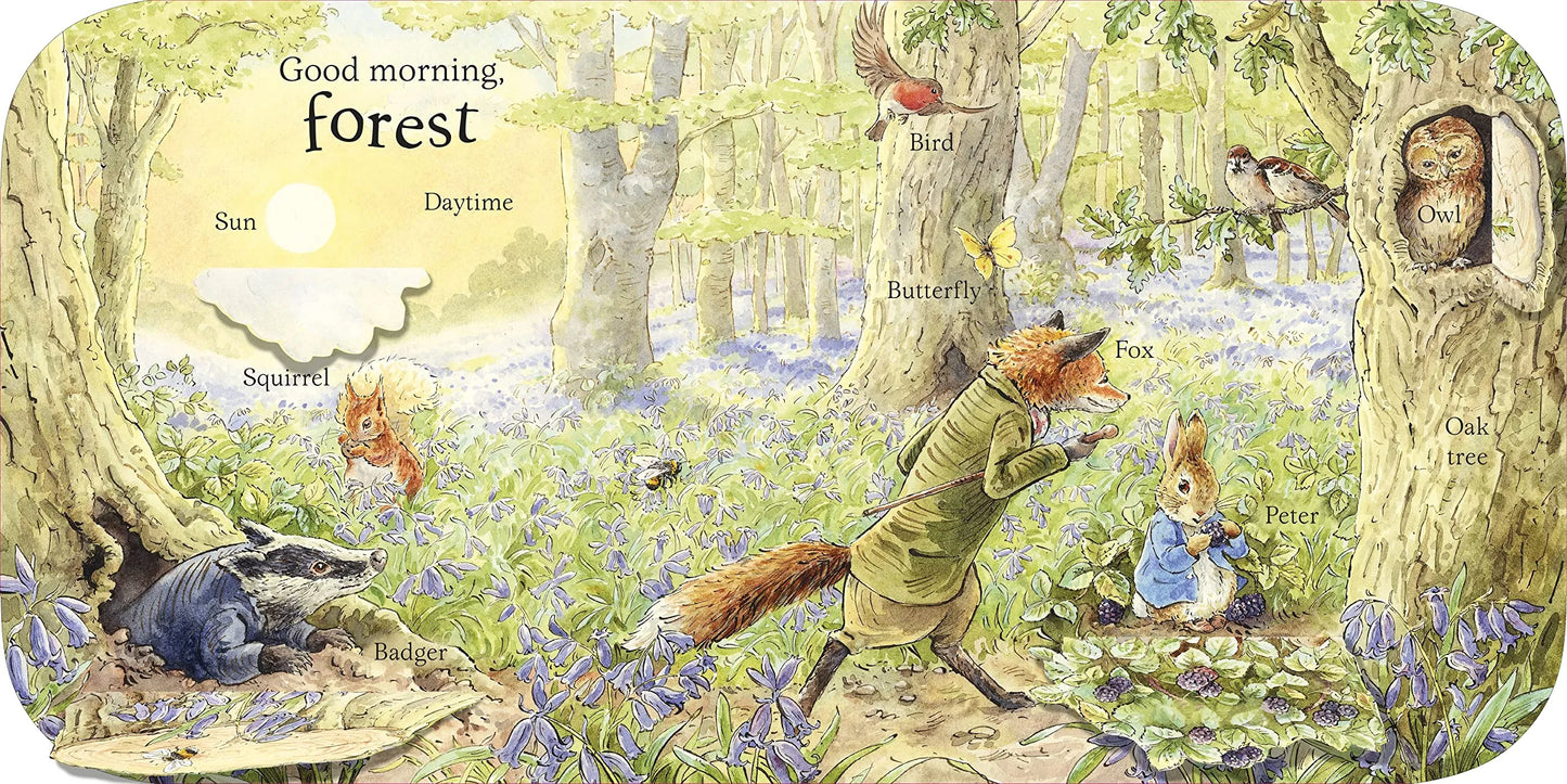 Peter Rabbit: Οι Πρώτες 100 Λέξεις του Peter, Βιβλίο με Αναδιπλούμενες Εικόνες για παιδιά 0+, Αγγλική Γλώσσα