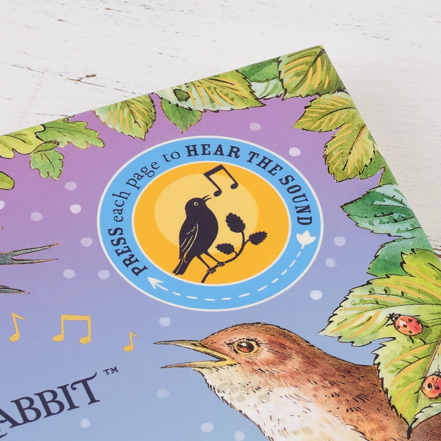 Peter Rabbit: Peter’s Nature Walk, Sound Book for Kids 0+, English Language