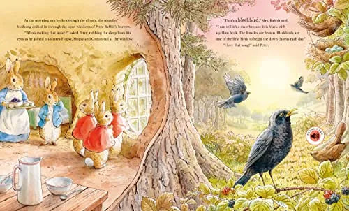 Peter Rabbit: Peter’s Nature Walk, Sound Book for Kids 0+, English Language