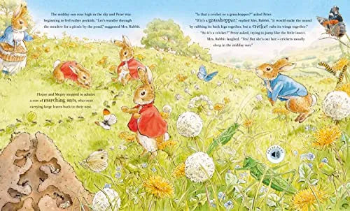 Peter Rabbit: Peter’s Nature Walk, Sound Book for Kids 0+, English Language