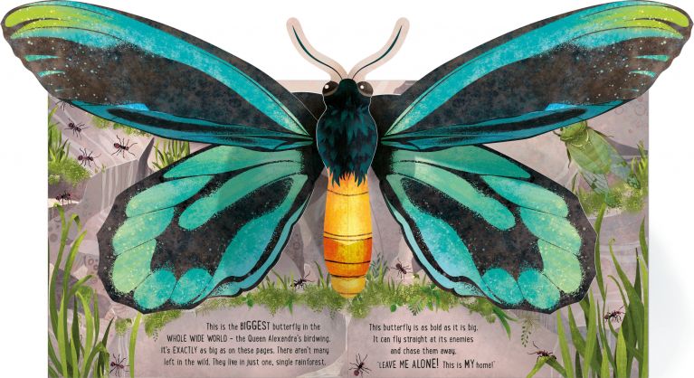 Pop-Up Butterflies, Usborne