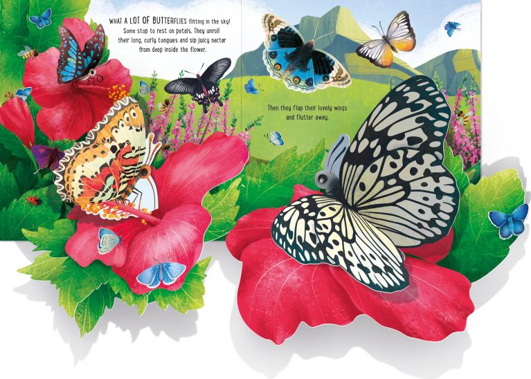 Pop-Up Butterflies, Usborne