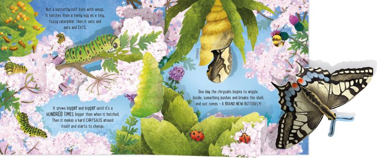 Pop-Up Butterflies, Usborne