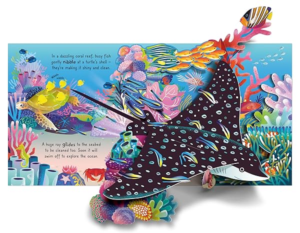 Pop-Up Ocean, Usborne