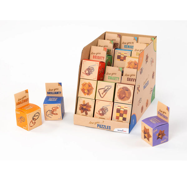 Are You Series, Metal and Wood Puzzle Choose 1 of 9 Design, For Ages 14+