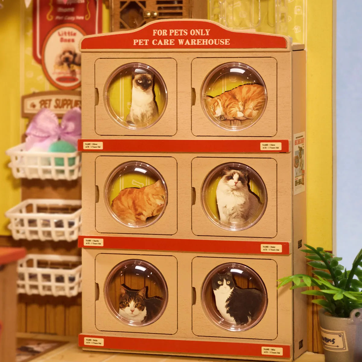 DIY Miniature House 14+: Fluffy Friends Store DG185, Robotime Rolife