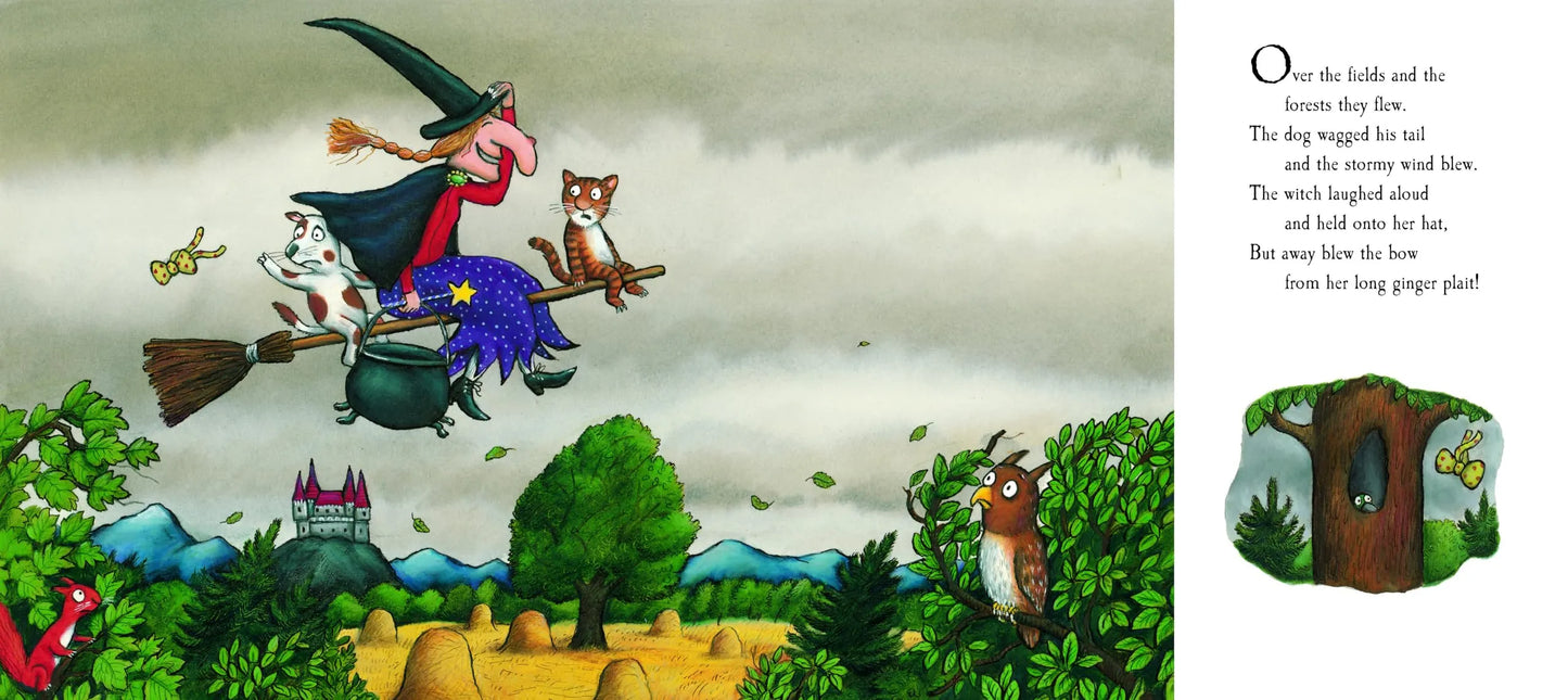 Room on the Broom, Paperback for Kids 2+, Julia Donaldson, English Language