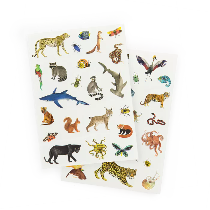 Tattoos: Tout autour du monde, Moulin Roty