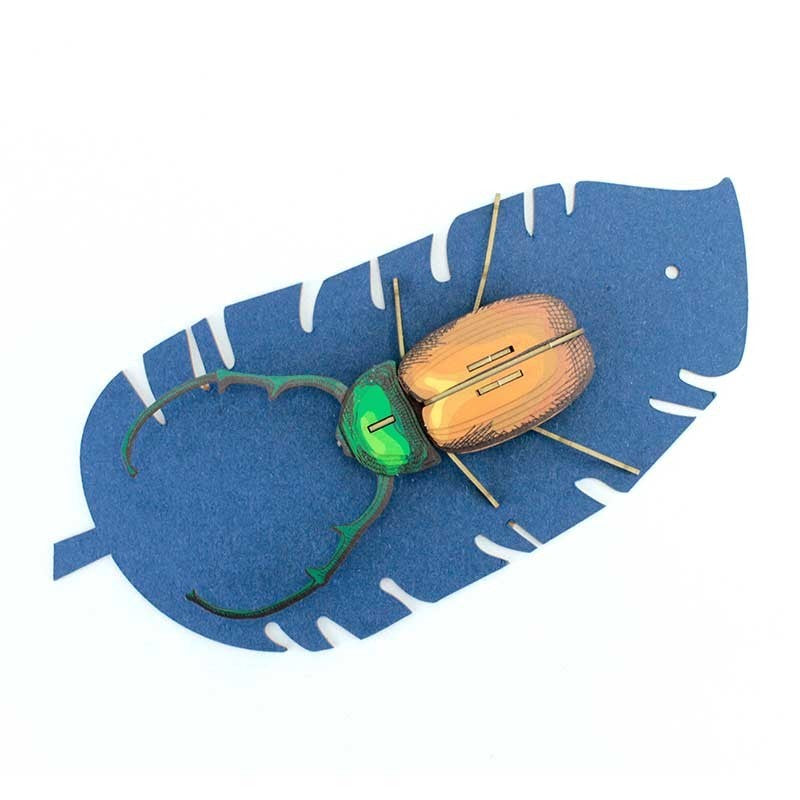 Insecto - Calingratus