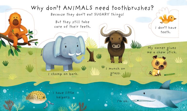 Very First Questions & Answers: Why Should I Brush My Teeth?, Usborne