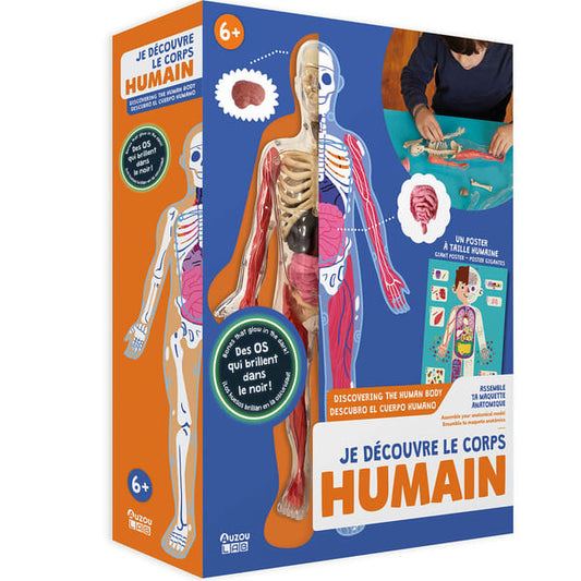 My Activity Box Set - Discovering the Ηuman Βody, AUZOU