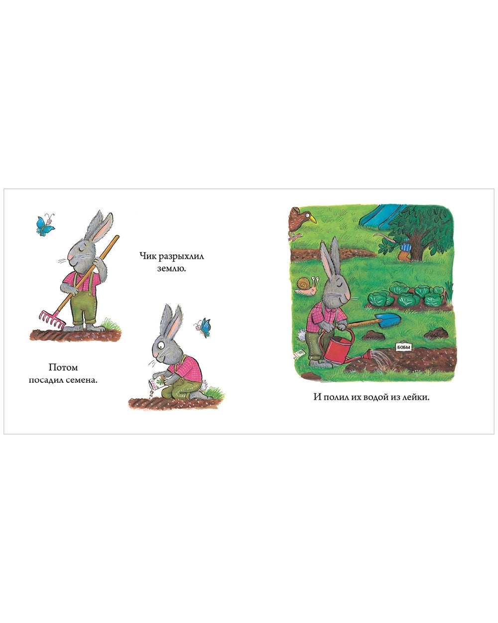 Чик и Брики. Пугливая улитка, Аксель Шеффлер