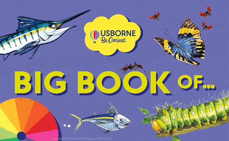 Alphabet Book: Big Book of ABC, Usborne
