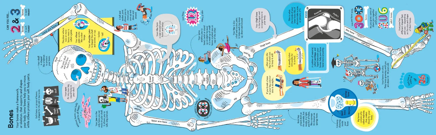 Big Book of the Body, Usborne