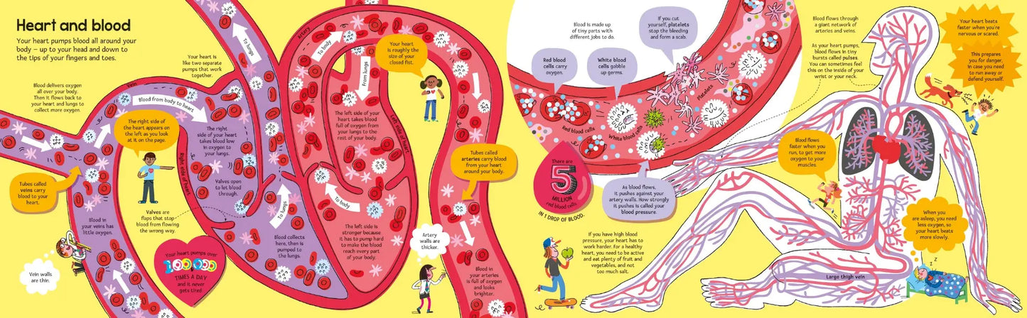 Big Book of the Body, Usborne