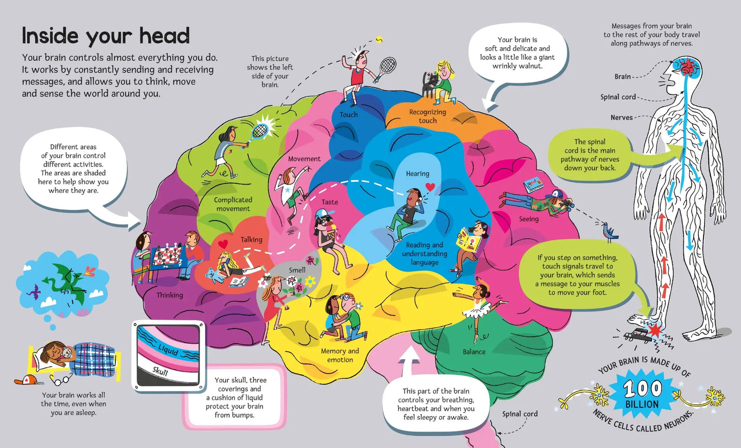 Big Book of the Body, Usborne