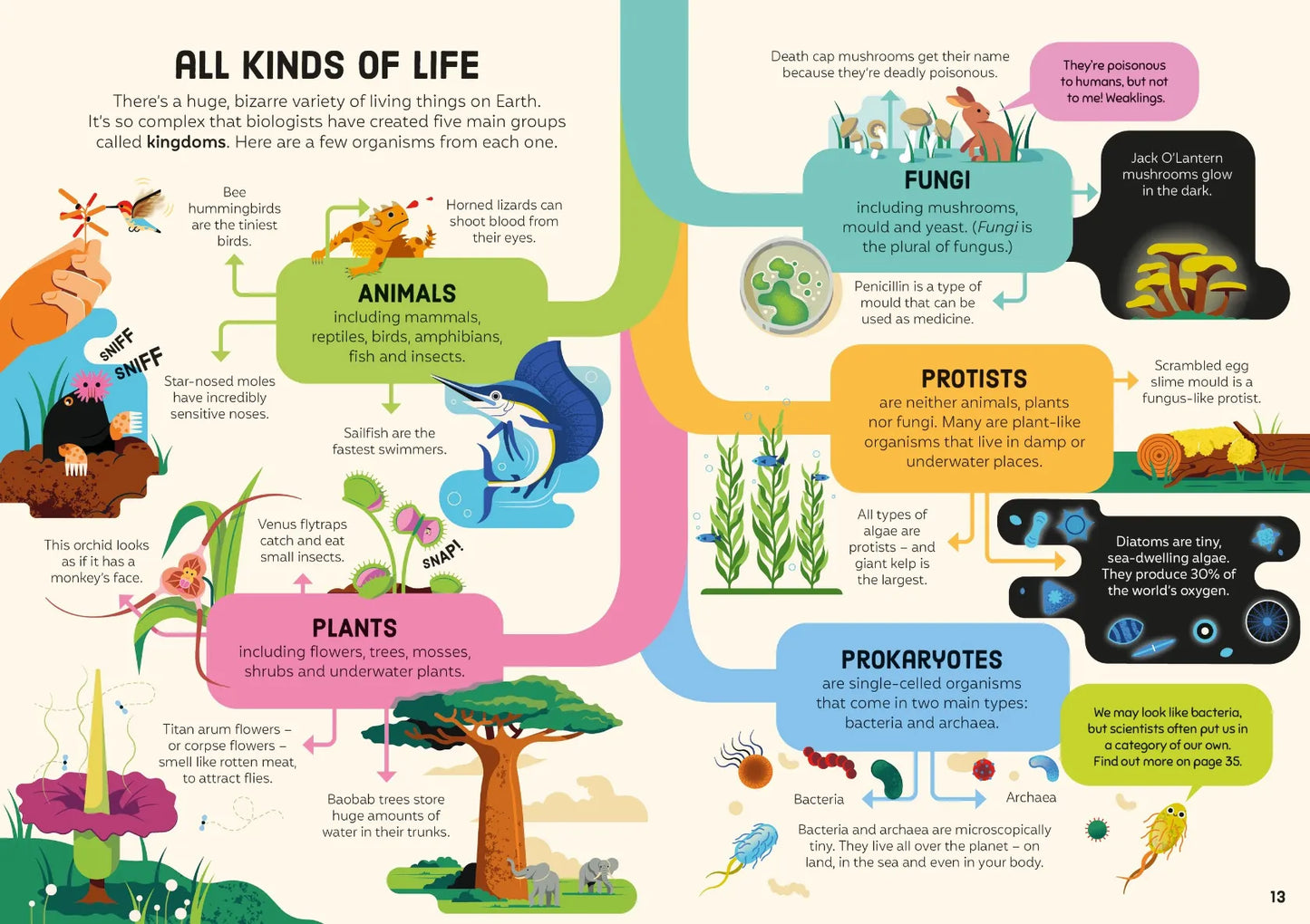Biology for Beginners, Usborne
