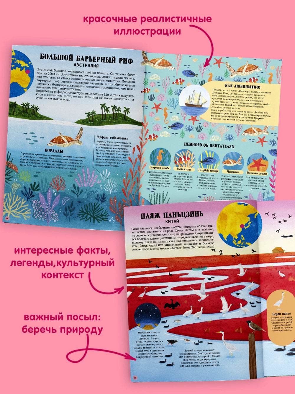 Большая энциклопедия: Удивительные животные и где они обитают, Clever