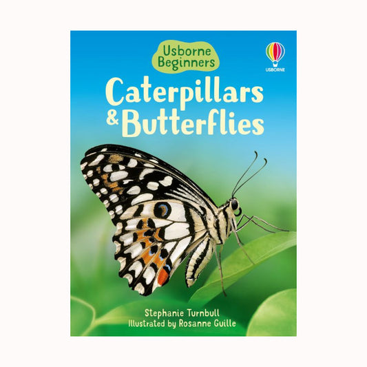Caterpillars, Bugs And Butterflies, Usborne