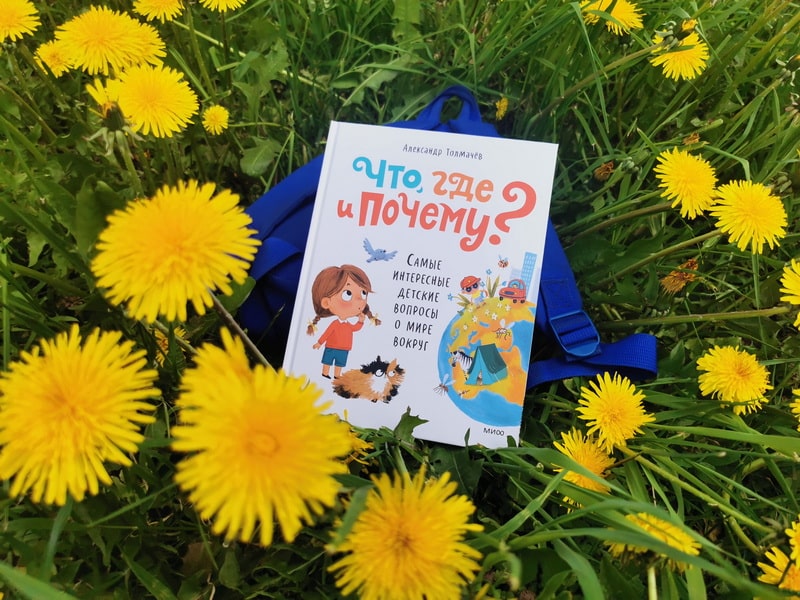 Что, где и почему? Самые интересные детские вопросы о мире вокруг
