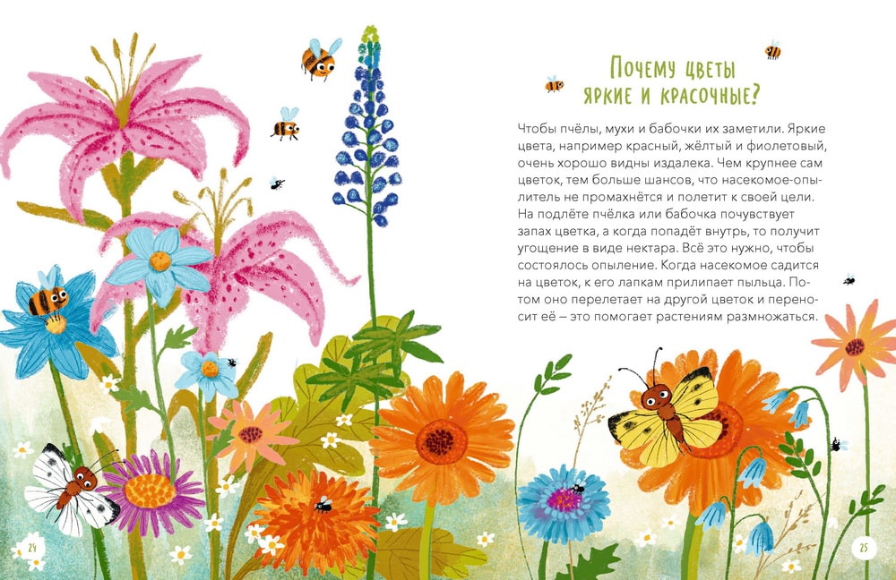 Что, где и почему? Самые интересные детские вопросы о мире вокруг