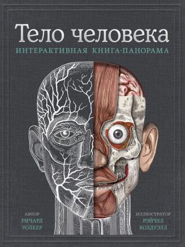 Книга: Тело человека. Интерактивная книга-панорама