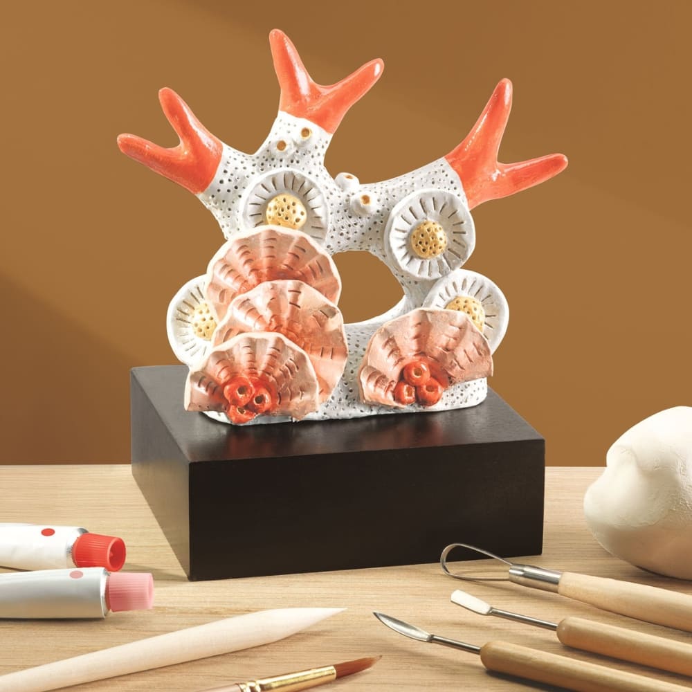 Decorative sculpture of seashells and coral on a wooden surface with art supplies.