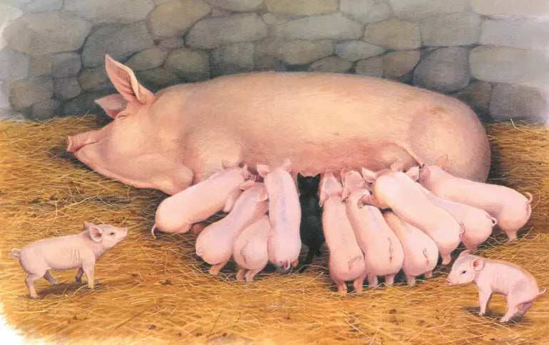 Джеймс Хэрриот: Детям. Рассказы о животных, Махаон