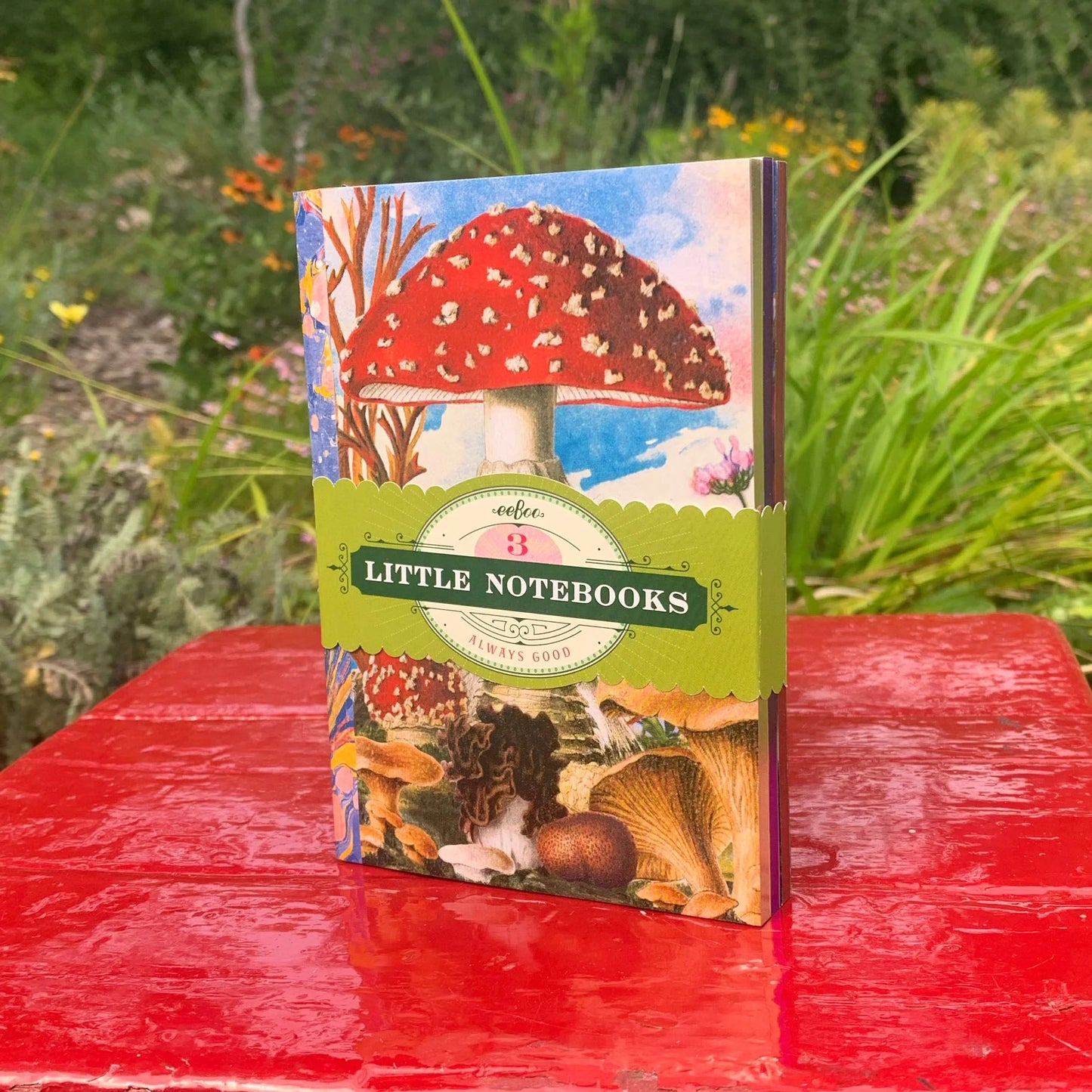 Fumiha's Little Notebook Set: Mushrooms, eeBoo